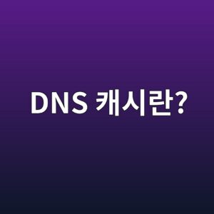 DNS 캐시란 무엇이며 왜 중요한가 3 dns ecba90ec8b9ceb9e80 1788146570