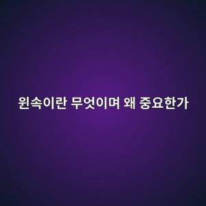 윈속이란 무엇이며 왜 중요한가 2 ec9c88ec868dec9db4eb9e80 ebacb4ec9787ec9db4eba9b0 ec999c eca491ec9a94ed959ceab080 1788144846