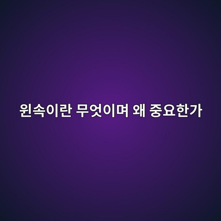 윈속이란 무엇이며 왜 중요한가 5 ec9c88ec868dec9db4eb9e80 ebacb4ec9787ec9db4eba9b0 ec999c eca491ec9a94ed959ceab080 1788144846