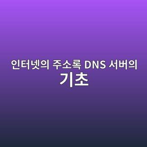 인터넷의 주소록 DNS 서버의 기초 이해하기 1 ec9db8ed84b0eb84b7ec9d98 eca3bcec868ceba19d dns ec849cebb284ec9d98 eab8b0ecb488 1788147171