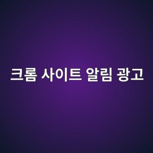 크롬 사이트 알림 광고의 정체와 문제점 5 ed81aceba1ac ec82acec9db4ed8ab8 ec958ceba6bc eab491eab3a0 1788167736