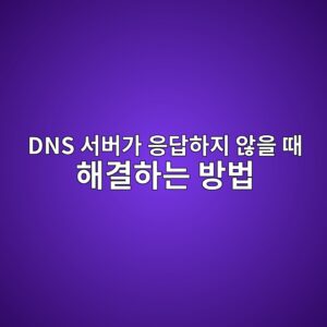 인터넷 연결의 관문인 DNS 서버가 응답하지 않을 때 해결하는 방법 3 dns ec849cebb284eab080 ec9d91eb8bb5ed9598eca780 ec958aec9d84 eb958c ed95b4eab2b0ed9598eb8a94 ebb0a9ebb295 1788833478
