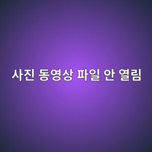 컴퓨터에서 사진·동영상 파일이 열리지 않을 때 해결 방법 8가지 2 ec82aceca784 eb8f99ec9881ec8381 ed8c8cec9dbc ec9588 ec97b4eba6bc 1789606952