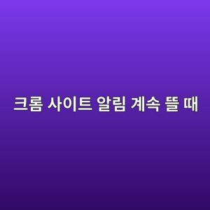 크롬 사이트 알림 계속 뜰 때 완전히 차단하는 방법 3 ed81aceba1ac ec82acec9db4ed8ab8 ec958ceba6bc eab384ec868d eb9cb0 eb958c 1790239283