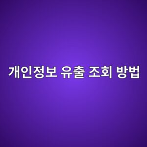 개인정보 유출 조회 방법 |털린 내 정보 찾기 무료 확인부터 계정 보호까지 2 eab09cec9db8eca095ebb3b4 ec9ca0ecb69c eca1b0ed9a8c ebb0a9ebb295 1791719957