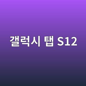 갤럭시 탭 S12 정보와 사전예약 및 상세 가이드 1 eab0a4eb9fadec8b9c ed83ad s12 1790939417