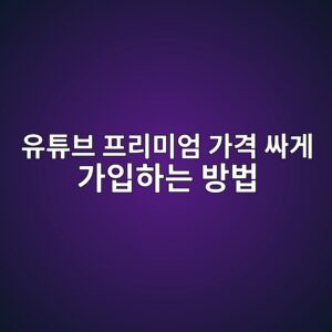 유튜브 프리미엄 가격 싸게 가입하는 방법 2026|라이트·아이폰 웹결제·통신사 할인 비교 2 ec9ca0ed8a9cebb88c ed9484eba6acebafb8ec9784 eab080eab2a9 ec8bb8eab28c eab080ec9e85ed9598eb8a94 ebb0a9ebb295 1791595663